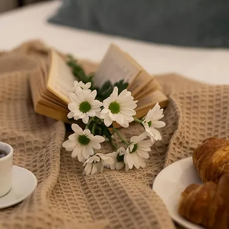 Central Suites Barcelona Апартаменты *