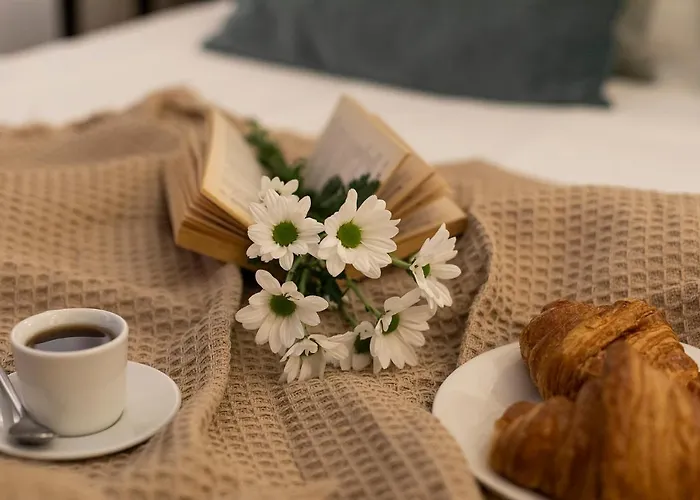 Central Suites Barcelona Apartment *